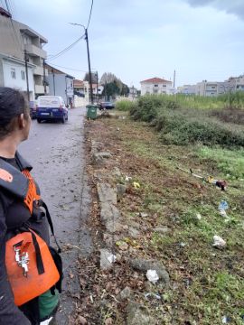 Tresa silva - Vila do Conde - Limpeza de Terrenos