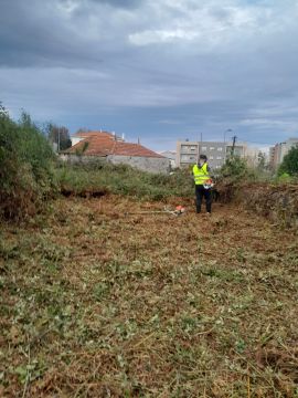Tresa silva - Vila do Conde - Corte e Aparação de Relvado
