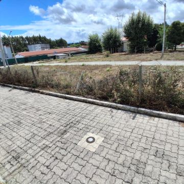 Italo Soares - Viana do Castelo - Tonte et entretien de pelouse