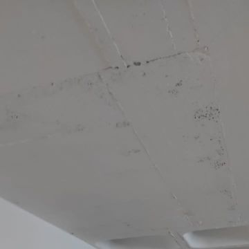 Instalpro Solutions Engenharia - Aveiro - Reparação ou Manutenção de Fossa Séptica