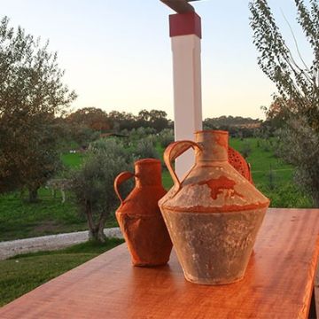 Monte da Coelha AL - Redondo - Quintas e Locais para Festas e Eventos