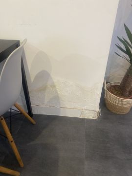 Pintura
