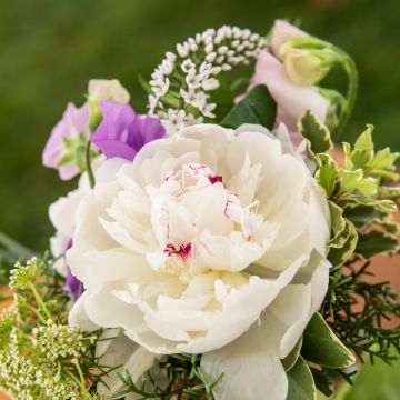 Zelebrant für Hochzeit - Perry Gallagher - Peseux