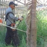jorge valerio - Vendas Novas - Lawn Mowing and Trimming