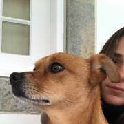Dogs, walks & waves - Peniche - Haustierbetreuung und Tierpension