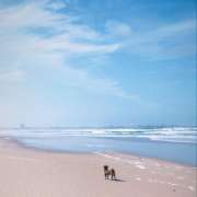 Dogs, walks & waves - Peniche - Katzenpension