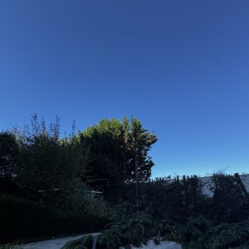 PaisagemUrbana - Gondomar - Tratamento de Relvado