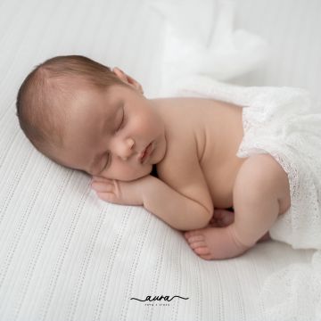Aura - Foto e Vídeo - Vila Nova de Famalicão - Fotografía de mascotas