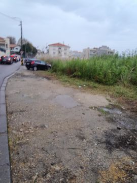 Tresa silva - Vila do Conde - Jardinagem e Relvados