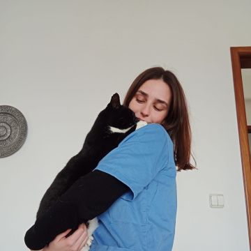 Diana - Almada - Katzensitter