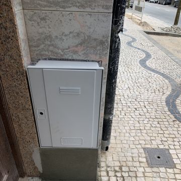Inti Pereira - Porto - Élagage et entretien des arbres