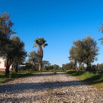 Monte da Coelha AL - Redondo - Aluguer de Espaço para Casamentos