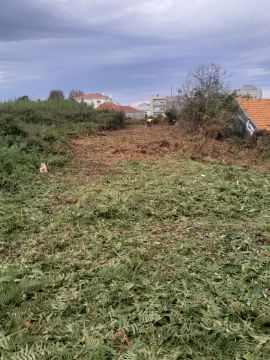 Tresa silva - Vila do Conde - Paisagismo Exterior