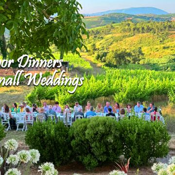 True Taste - Catering - The Meeting Kitchen - Torres Vedras - Catering - Events and Parties