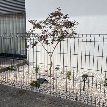 PaisagemUrbana - Gondomar - Colocación de rocas