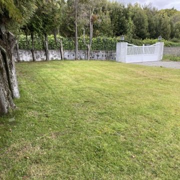 Tresa silva - Vila do Conde - Poda e Manutenção de Árvores