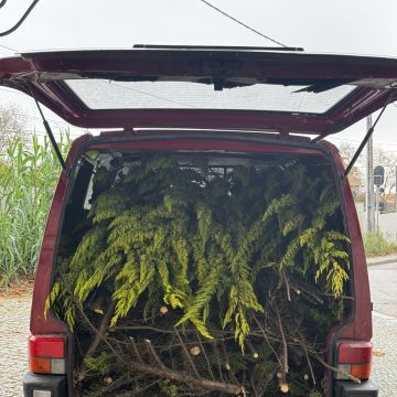 PaisagemUrbana - Gondomar - Instalação de Relva Artificial