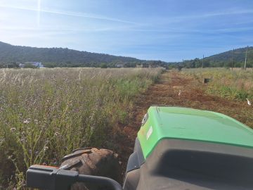 Telhados e Coberturas - Vibranteficência, Lda. - Albufeira