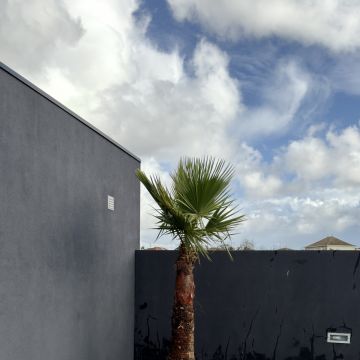 PaisagemUrbana - Gondomar - Paisajismo