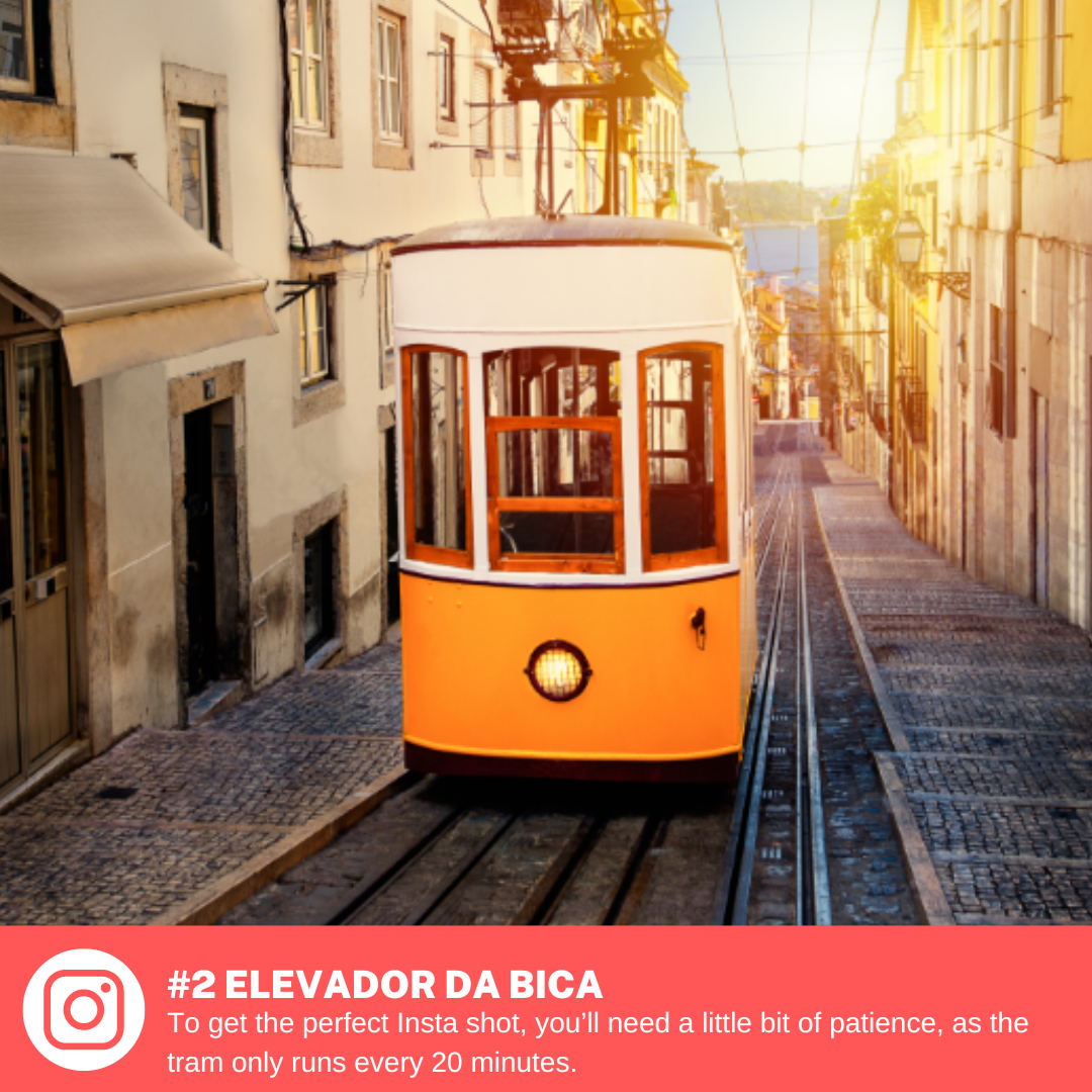 Sofia P - Lisboa - Servicios de presentación