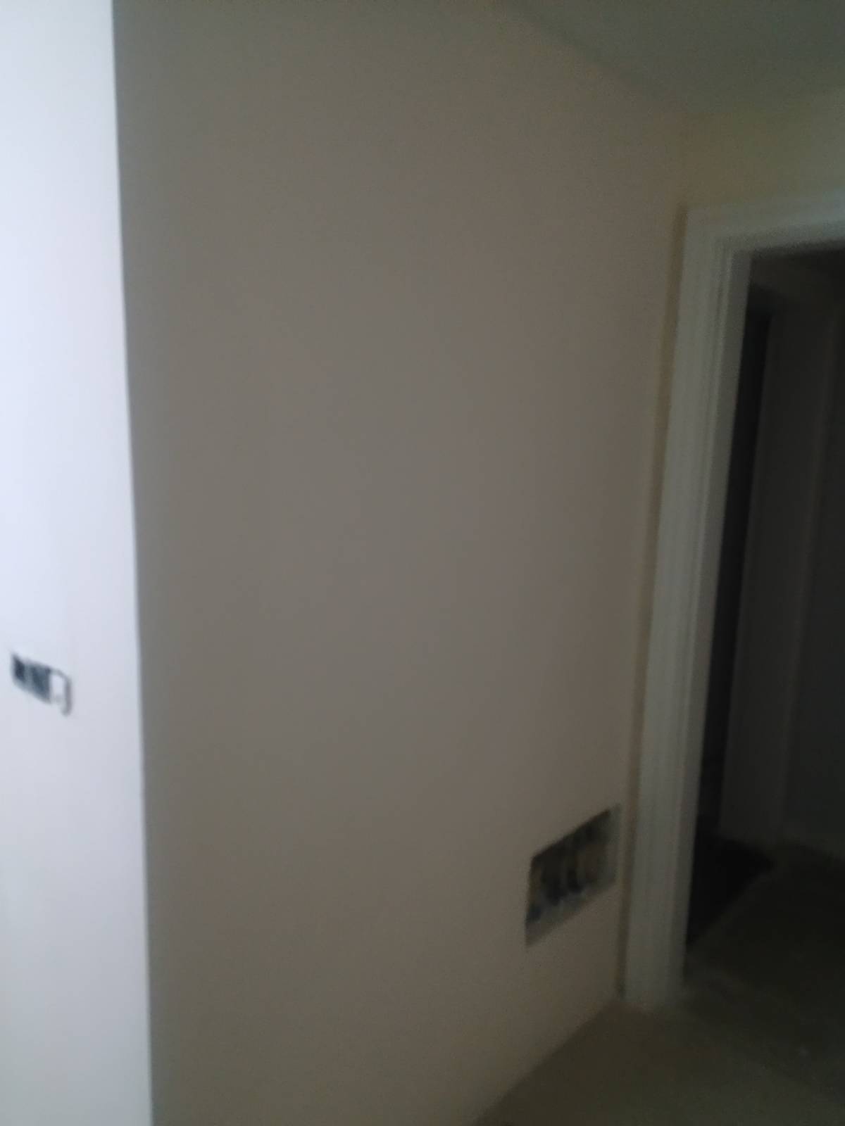 Renato Rodrigues - Lisboa - House Movers (under 50 miles)