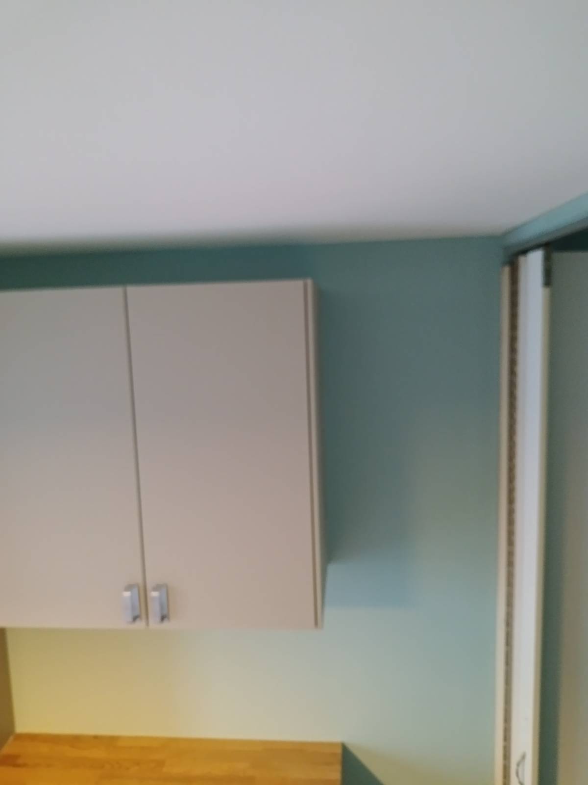 Renato Rodrigues - Lisboa - Asbestos Removal