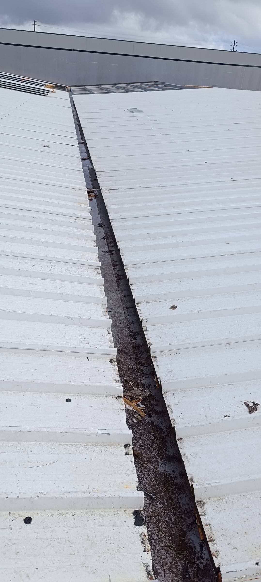 Roof solution - Maia - Dachreinigung