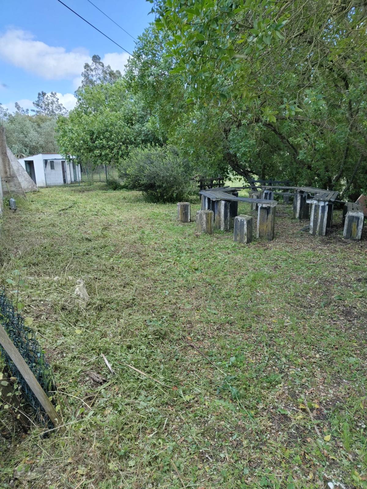 Daniel Filipe Perdigão Alves - Azambuja - Multi Service Lawn Care