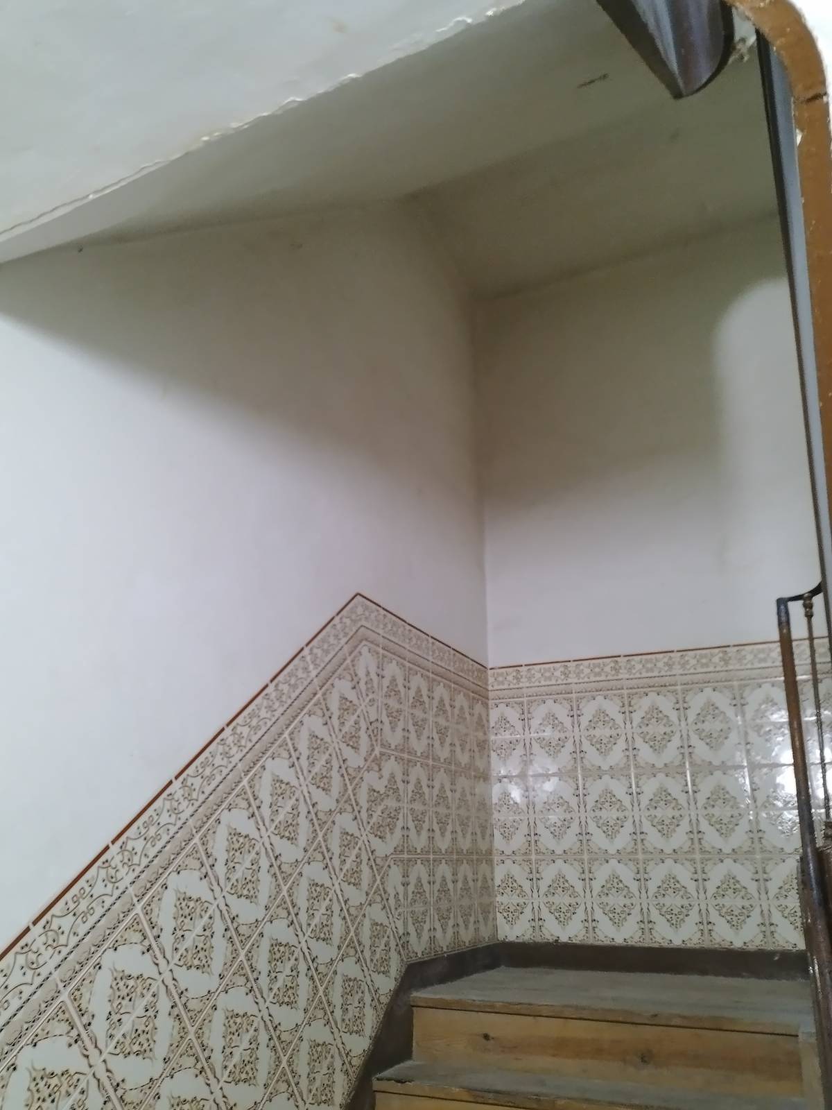 Renato Rodrigues - Lisboa - Rug Cleaning
