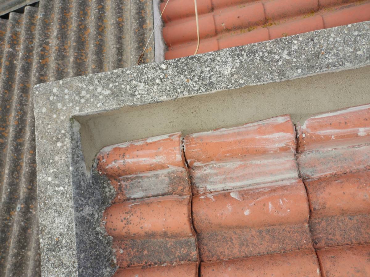 Renato Rodrigues - Lisboa - Roofing
