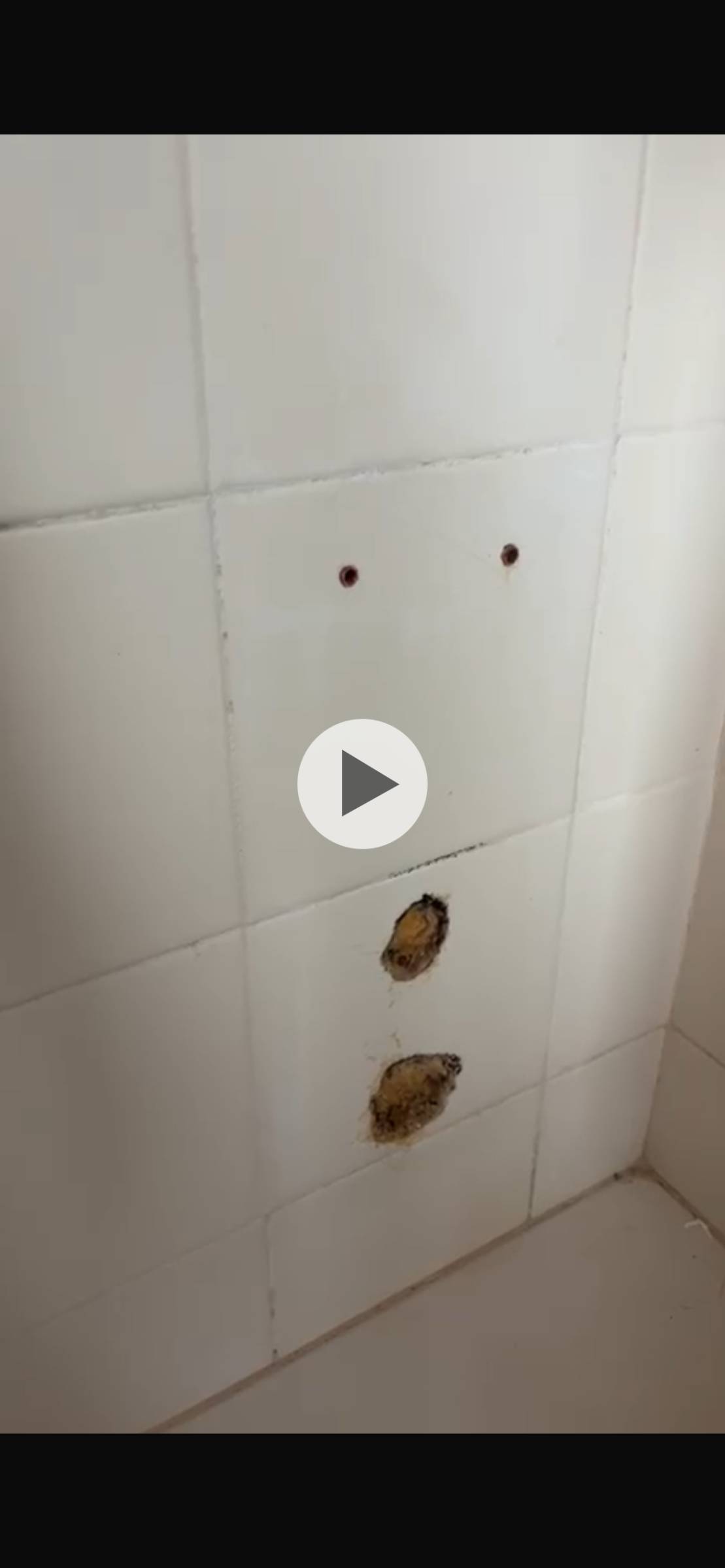 Especialista de Reparação de Azulejos