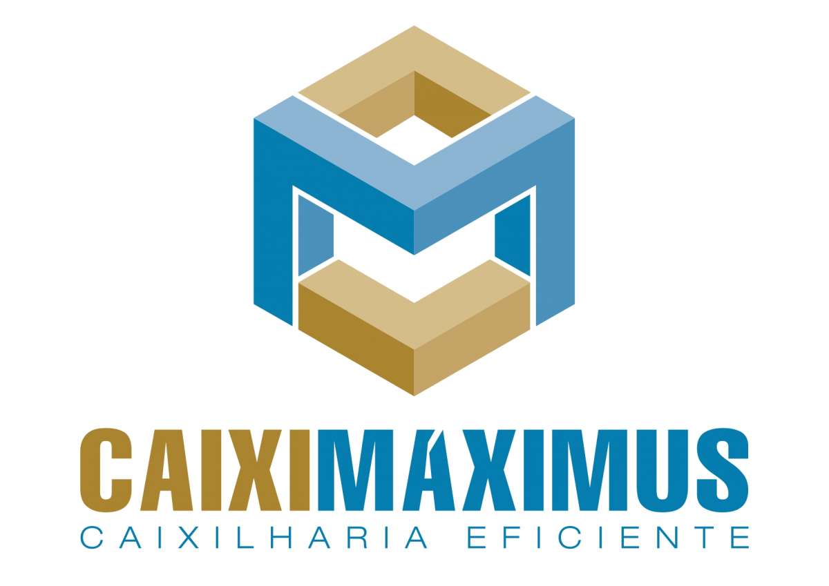 Caiximaximus - Odivelas - Manutenção e Reparação de Terraço