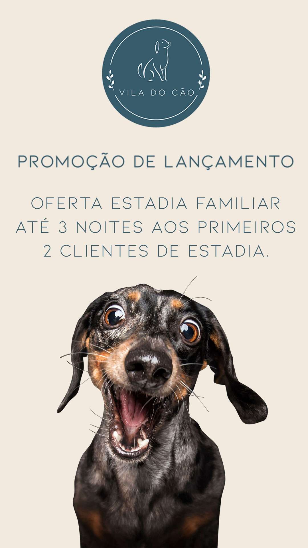 Vila Do Cão - Loures - Pet Care and Grooming