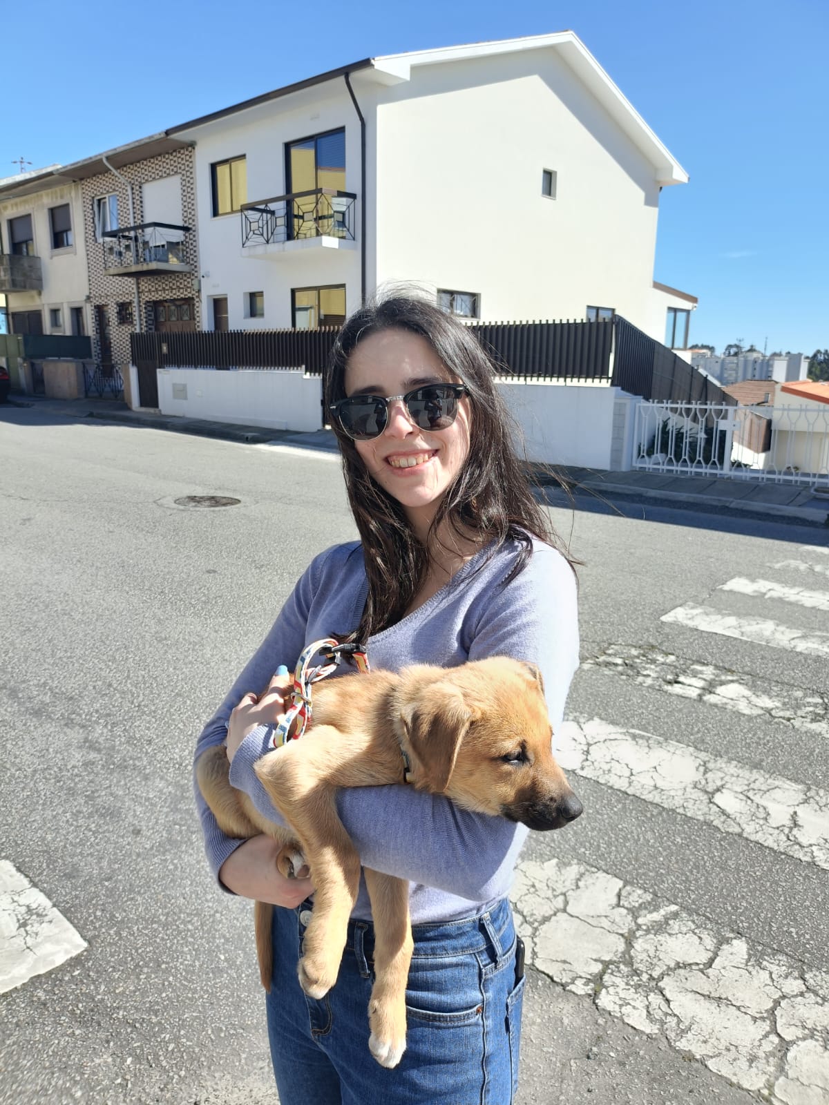 Patrícia Alves - Porto - Haustierpflege