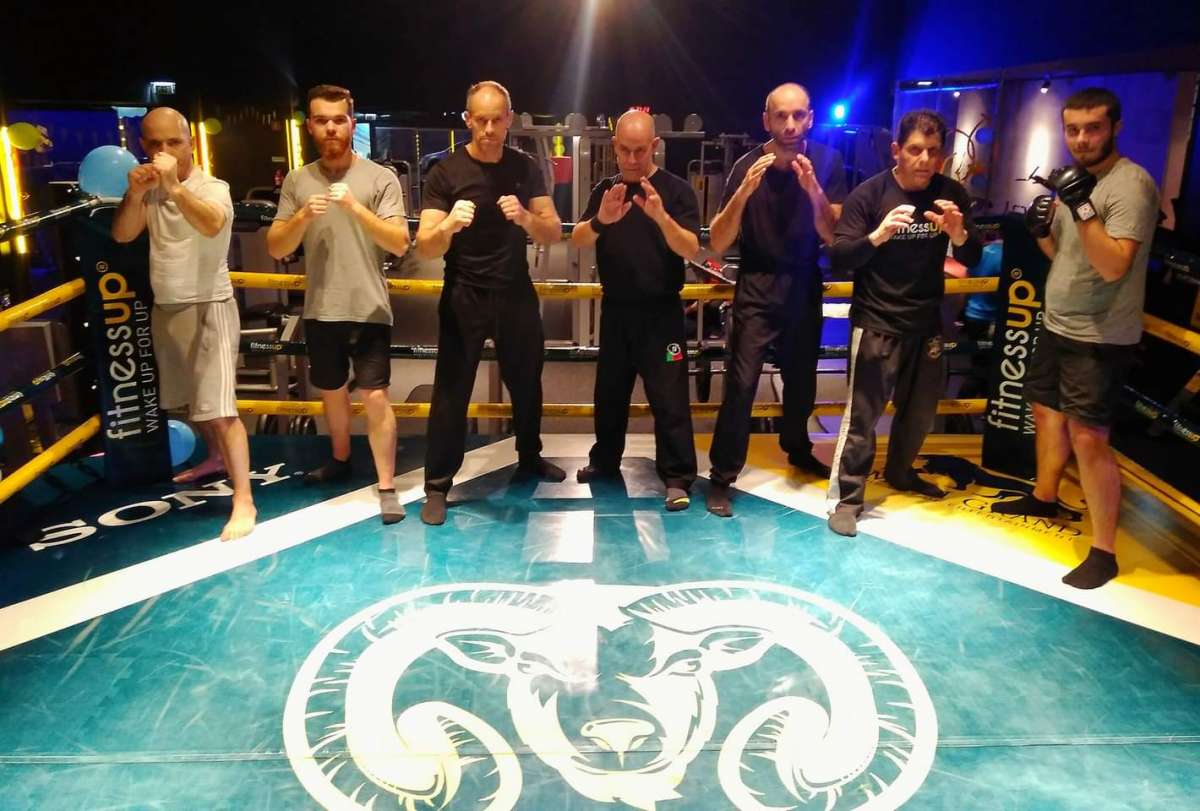 Hernani Silva - Oliveira de Frades - Martial Arts Lessons