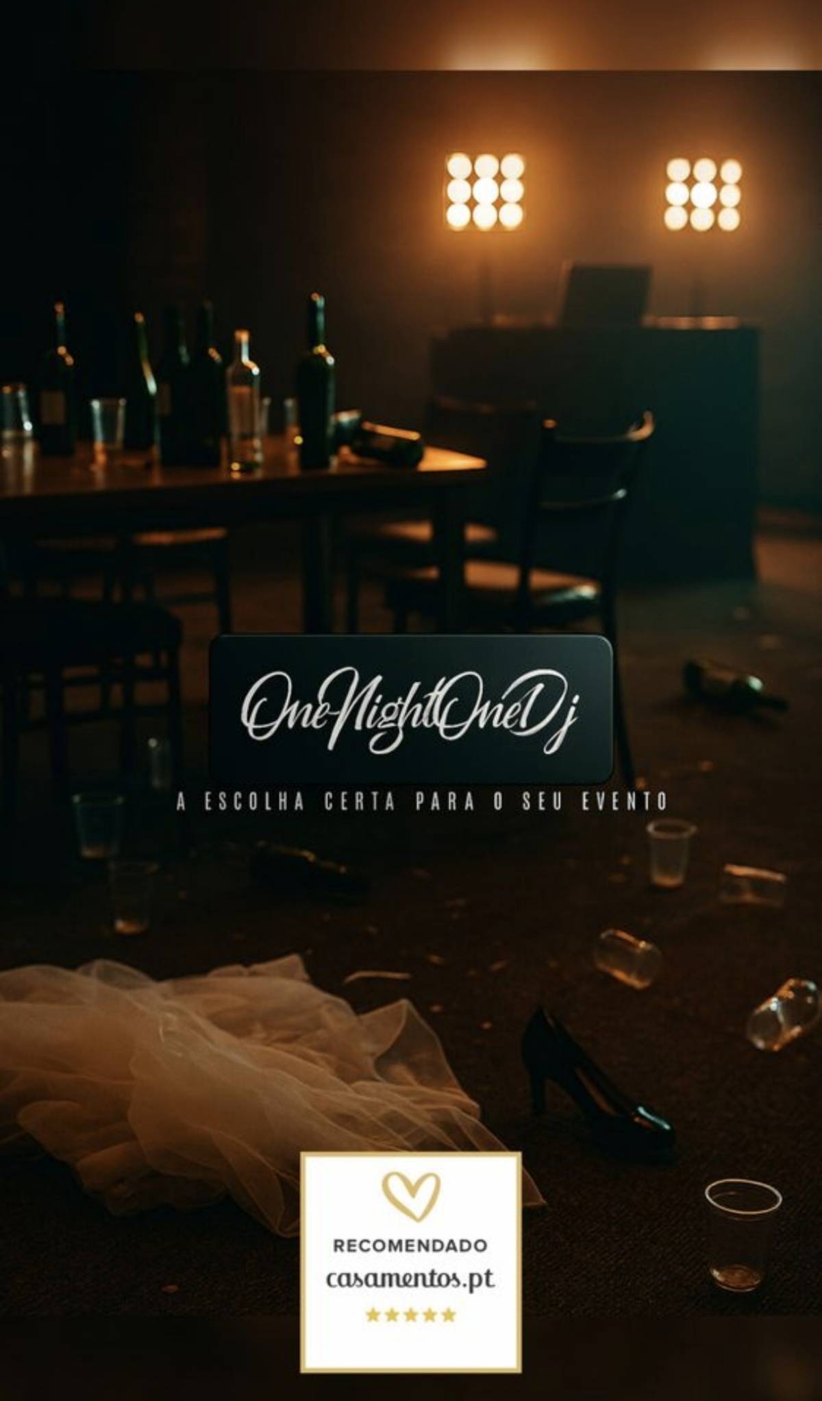 OneNightOneDj - Vila Nova de Gaia - DJ para eventos
