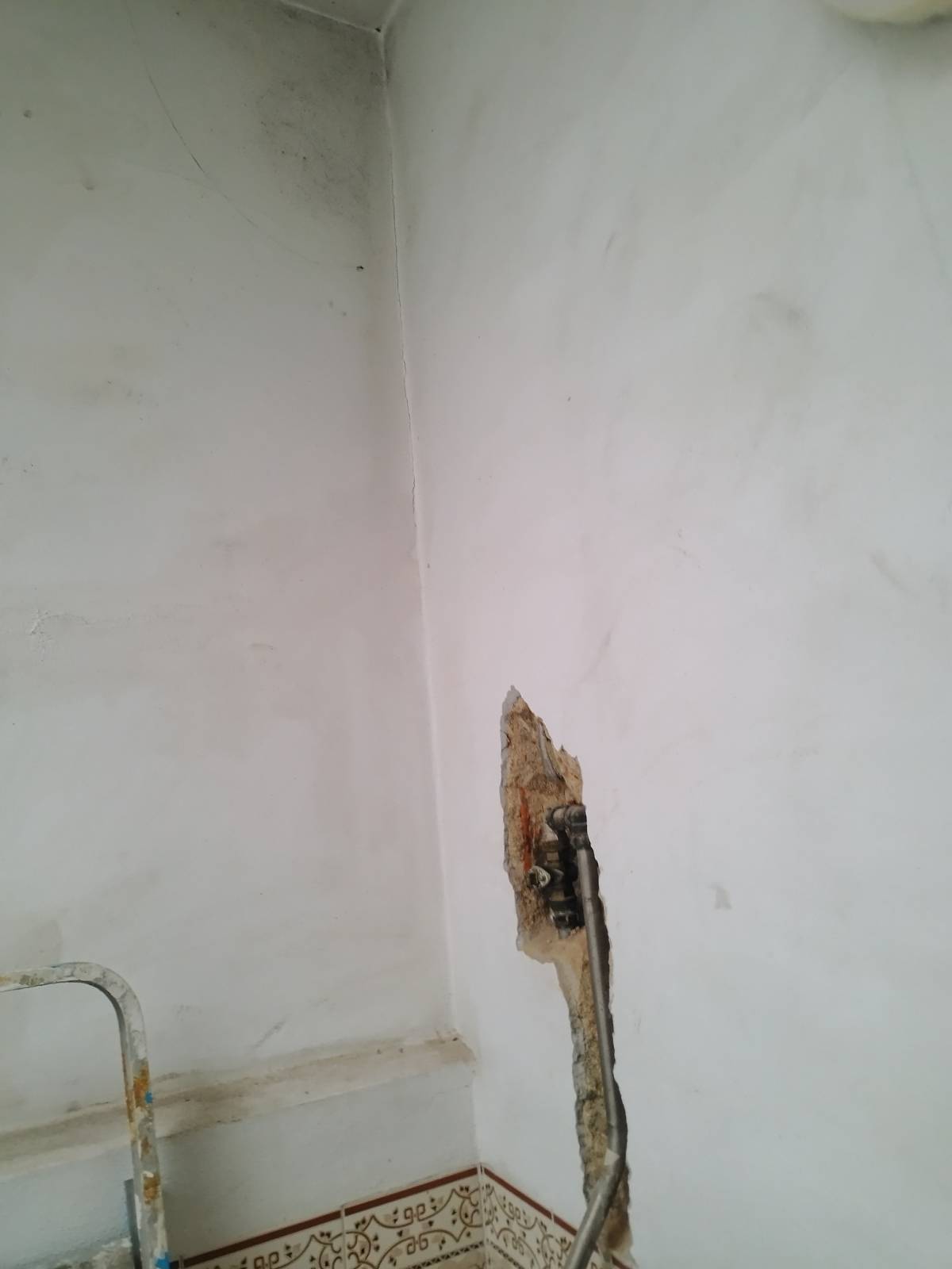Renato Rodrigues - Lisboa - Masonry Construction Services