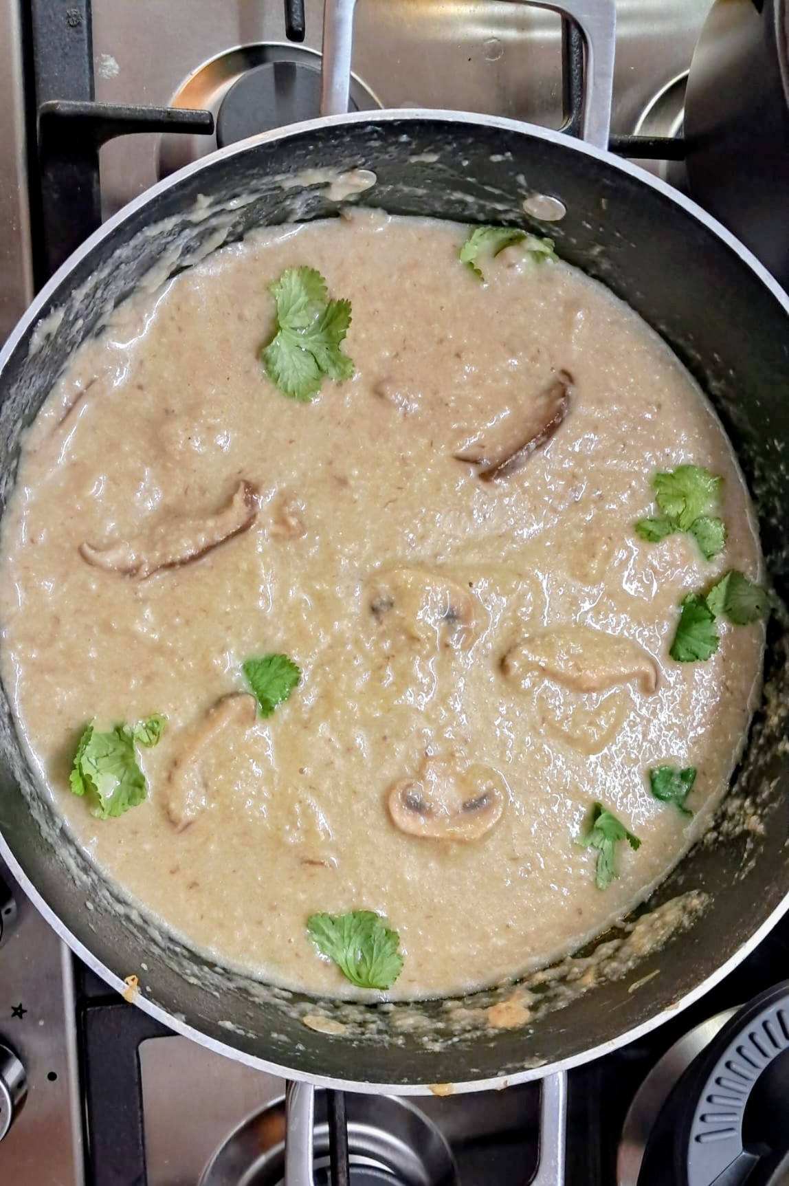 Maria Madalena Augusto - Lisboa - Limpeza a Fundo