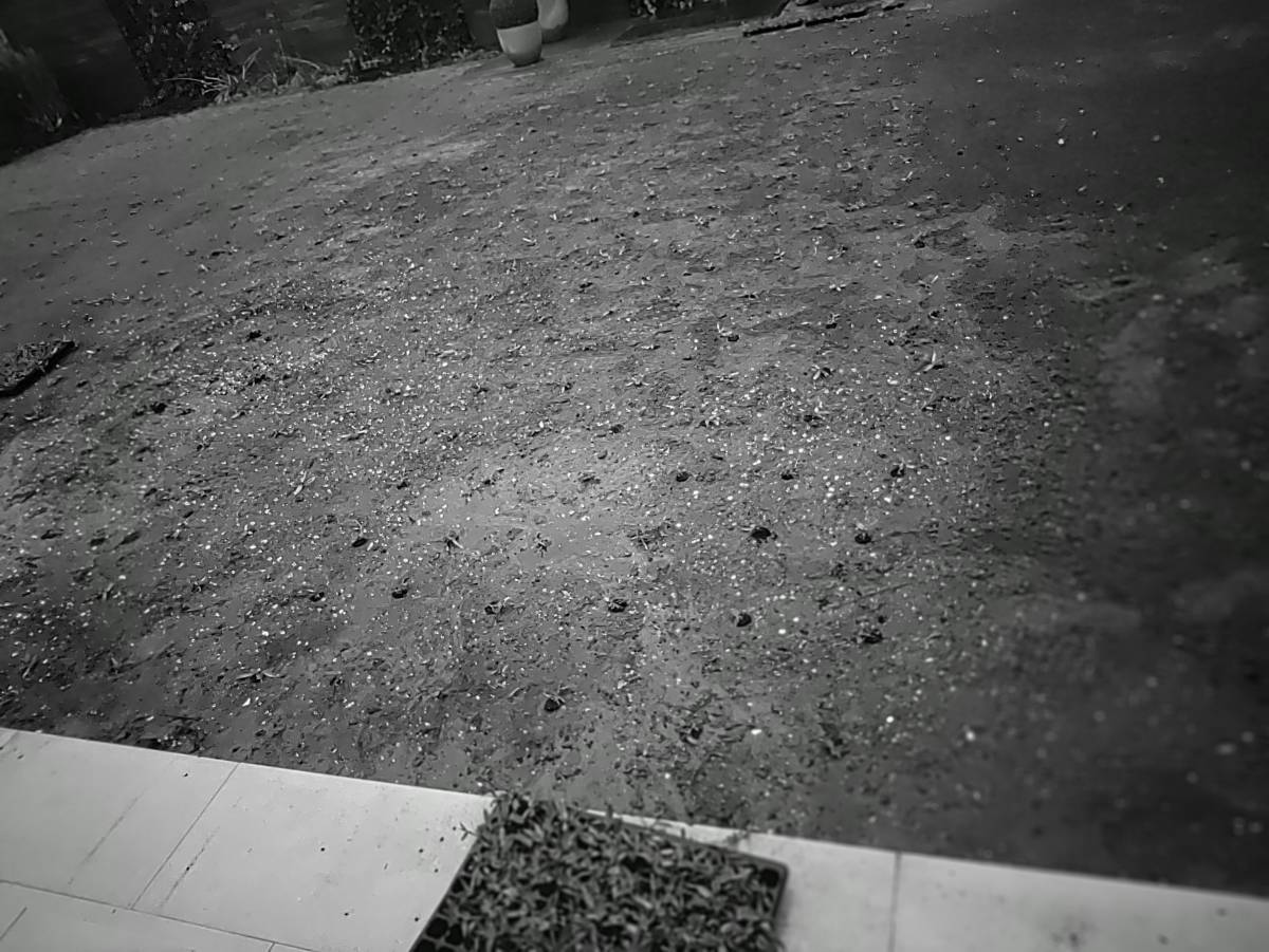 TheQuintal - Barreiro - Artificial Turf Installation