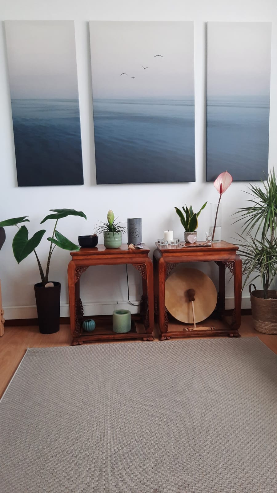 Sara Martins Vieira - Porto - Health and Wellness coaching