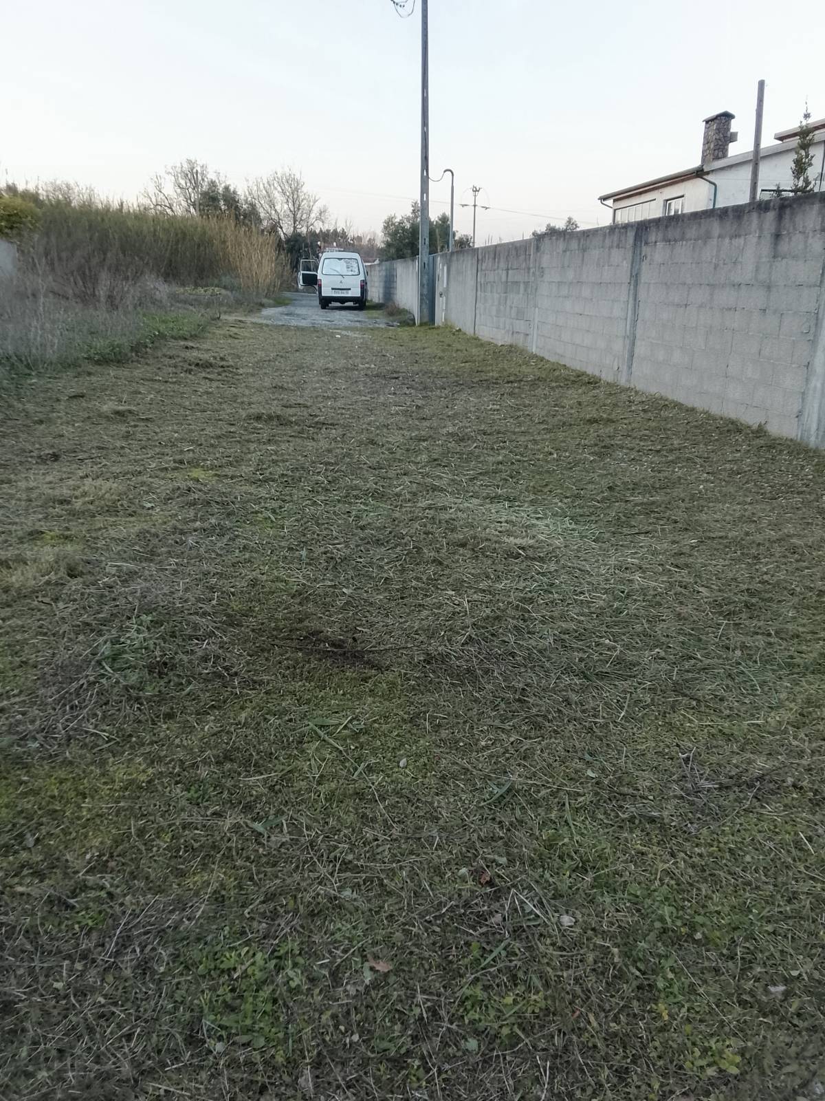 Jardins e espaços verdes - Gonçalo Martins - Coimbra - Remoção de Arbustos