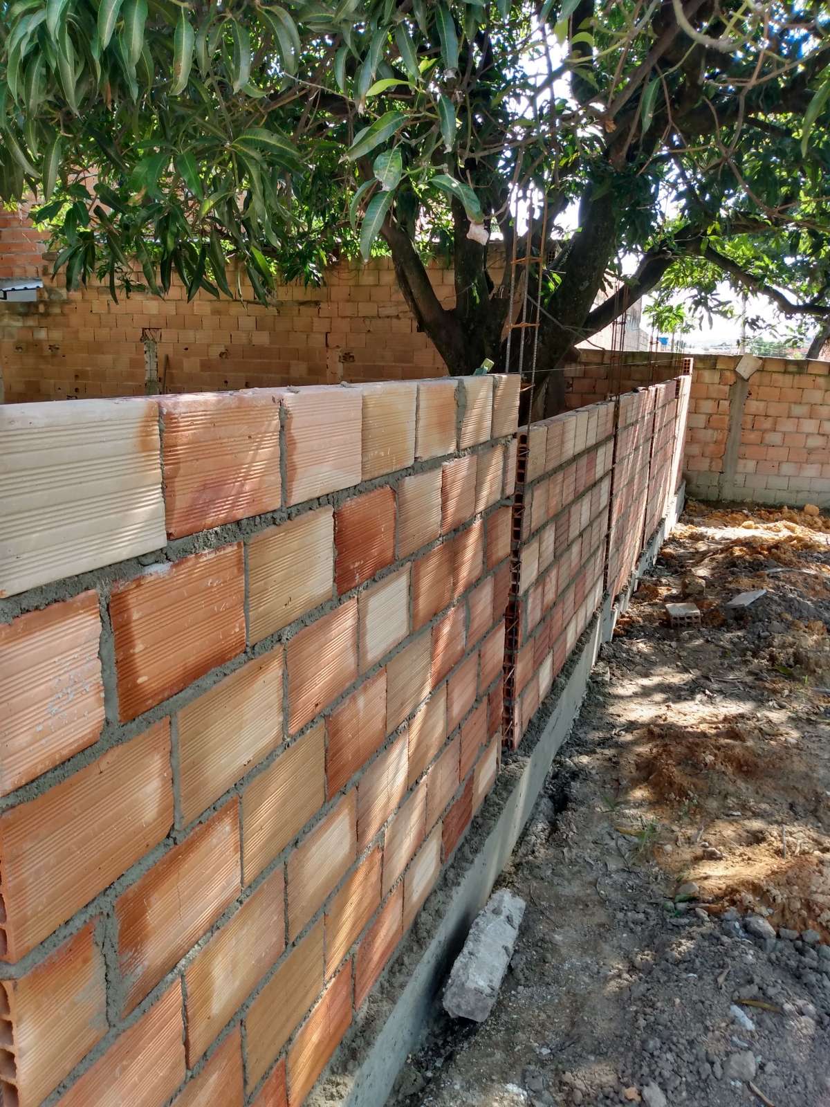 Geraldo Rodrigues - Santo Tirso - Exterior Painting