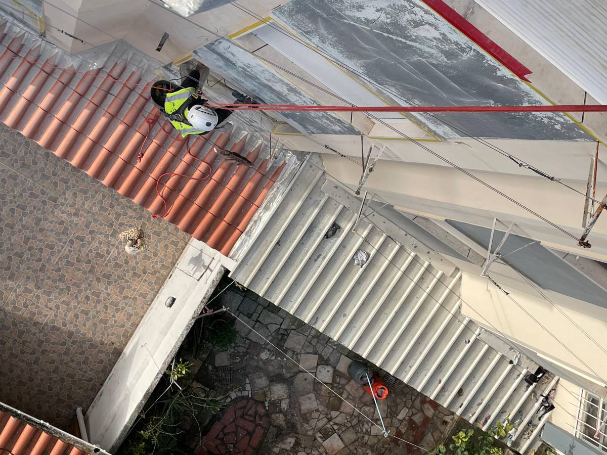 Guilherme Alves - Lisboa - Limpeza de Telhado