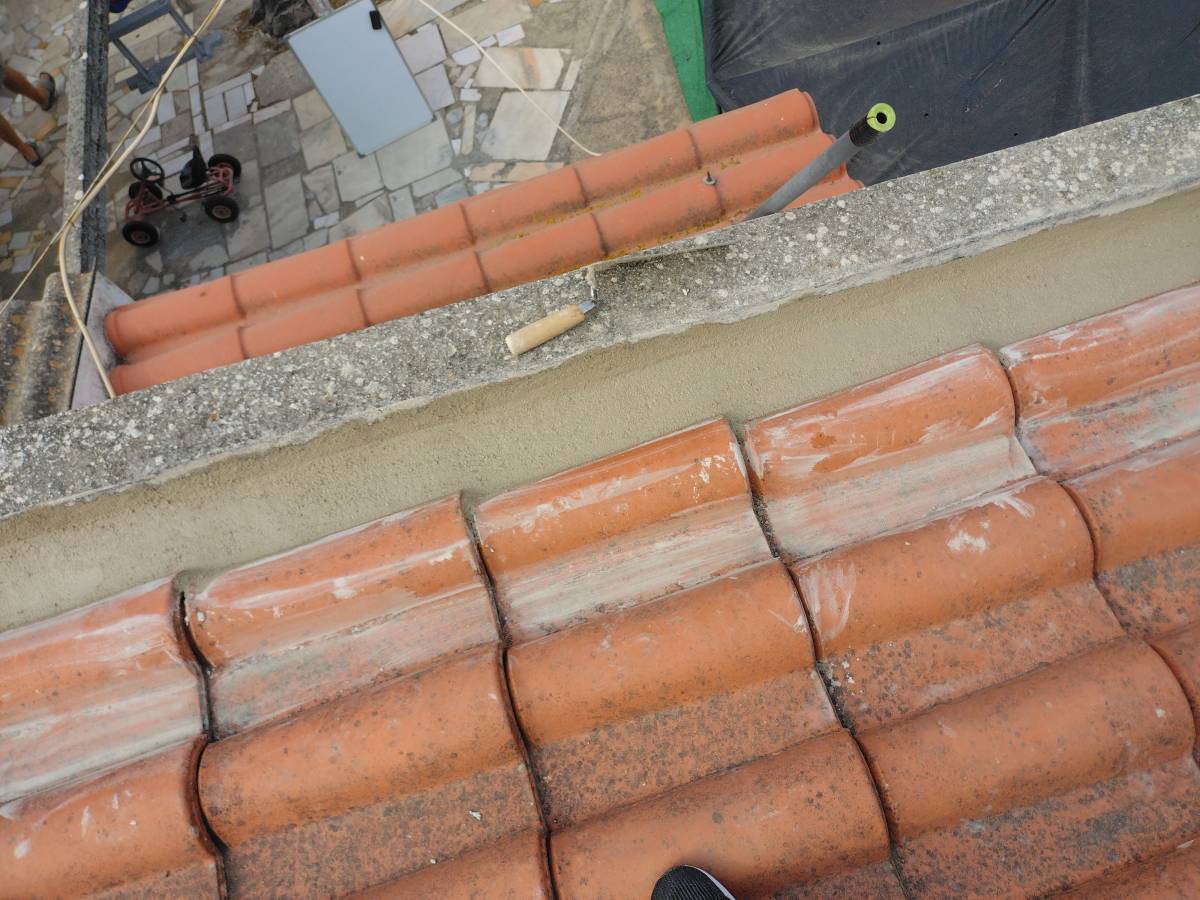 Renato Rodrigues - Lisboa - Rug Cleaning