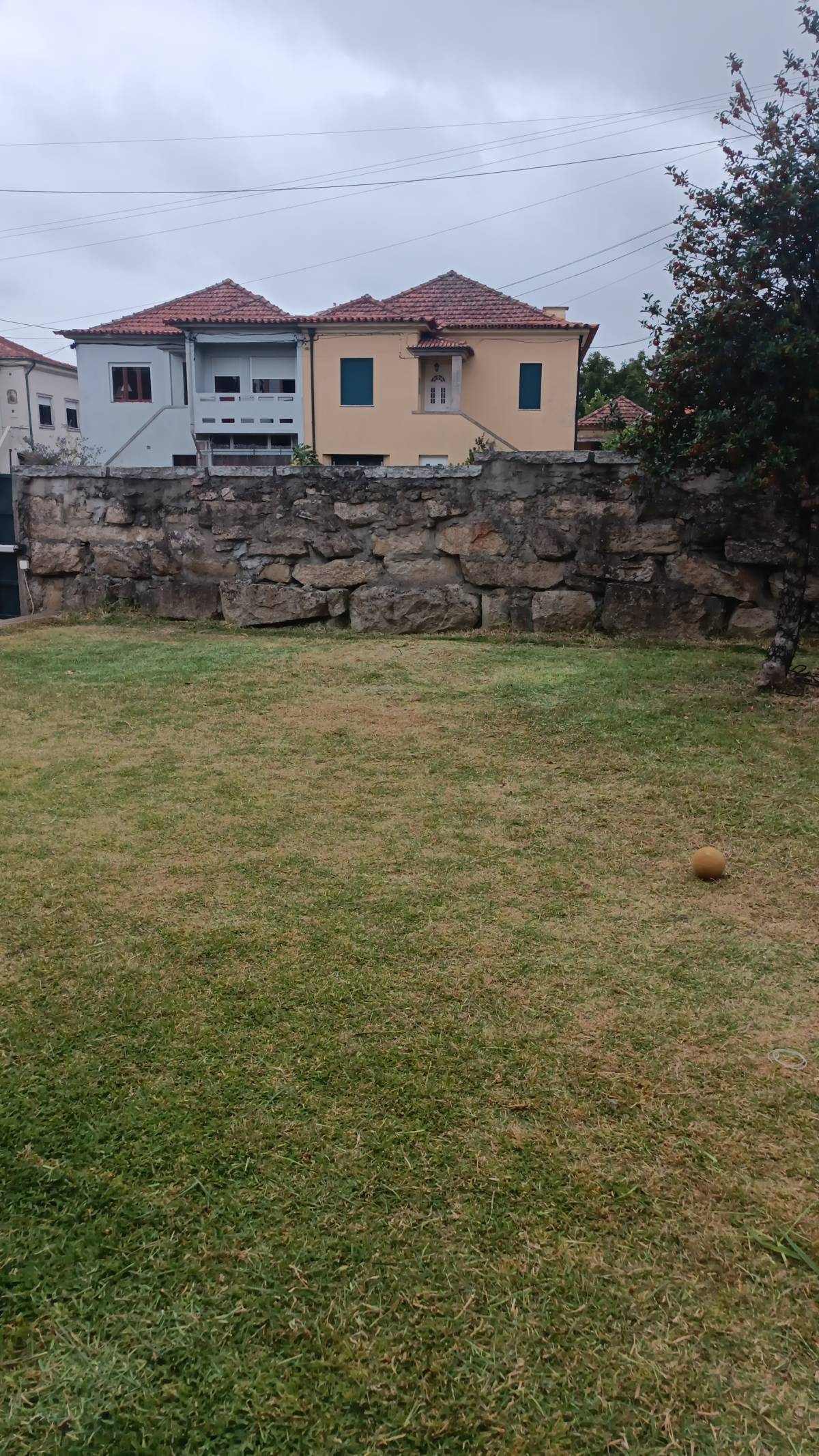 Miguel.M - Maia - Tree Stump Grinding and Removal
