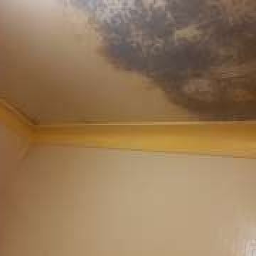 Glória - Ponte de Lima - Commercial Cleaning