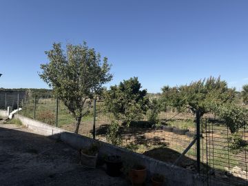 Jardinagem