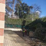 Márcio coutinho - Marco de Canaveses - Stone or Tile Flooring Installation