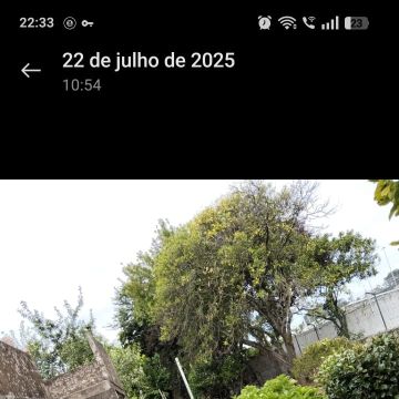 Unipessoal para todos - Maia - Construction