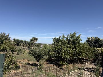 Serviço de Jardinagem